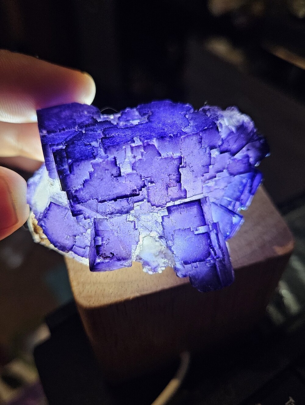 Vivid Purple Cubic Fluorite-Mexico